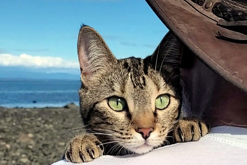 Hourly and Fixed Rates